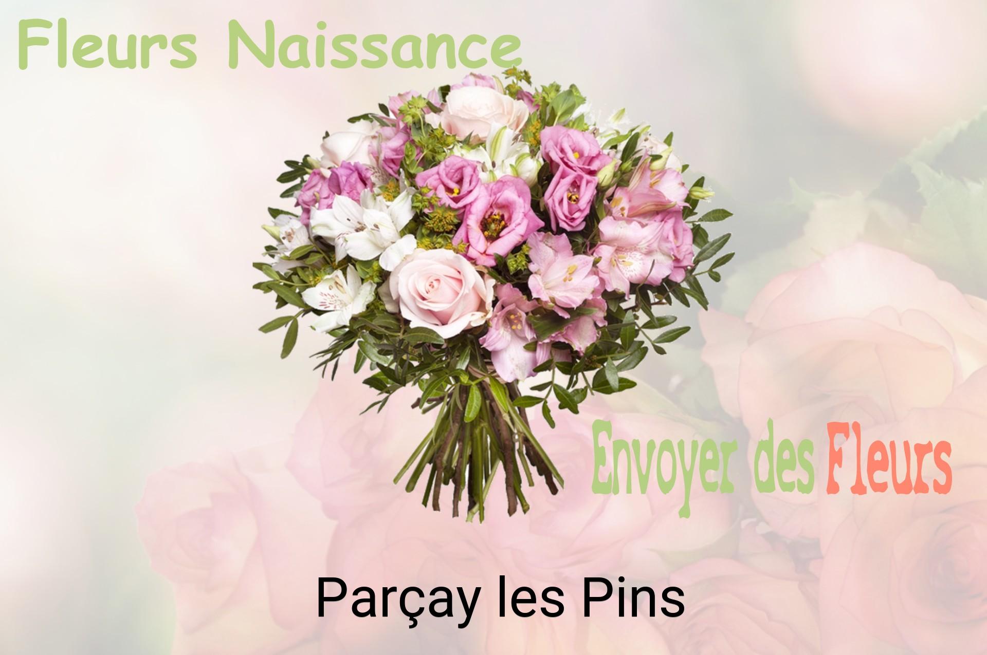 Bouquet de fleurs de naissance livré à Parçay-les-Pins